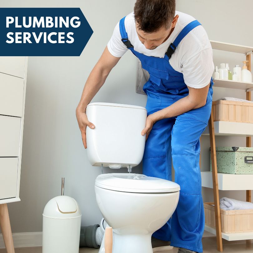 Plumbing Company in Cutler, IL